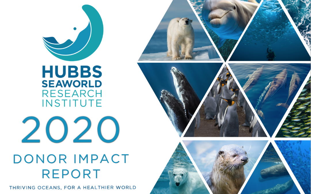 2020 Donor Impact Report