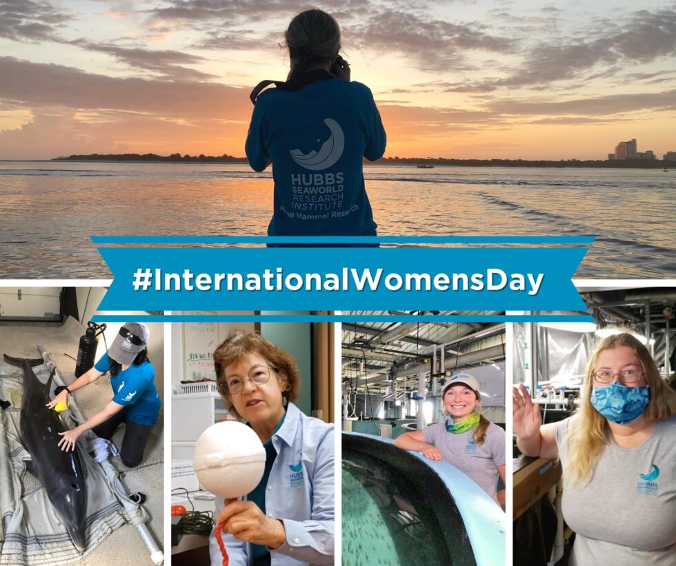 International Women’s Day 2021 | Home