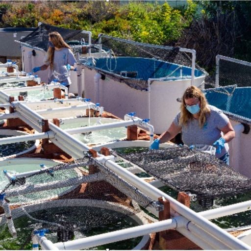 Integrated Aquaculture – A Winning Combination