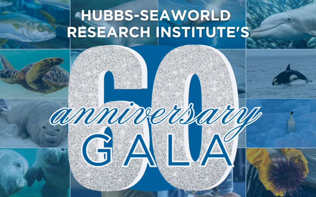 SD Weekly Briefing — HSWRI 60th Anniversary Gala